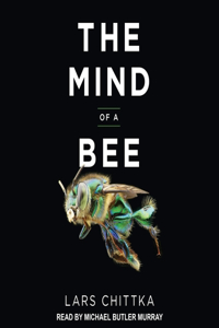 Mind of a Bee