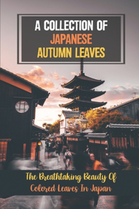 Collection Of Japanese Autumn Leaves
