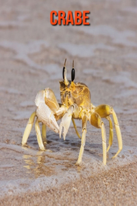 Crabe