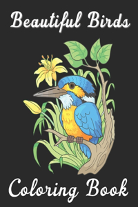 Beautiful Birds Coloring book
