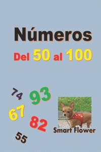 Números del 50 Al 100