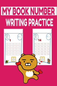my book number writing practice