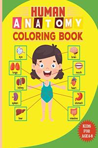Human Anatomy Coloring Book For Kids