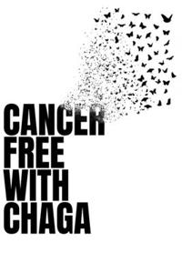 Cancer Free With Chaga