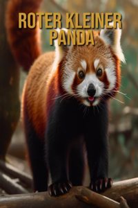 Roter kleiner Panda
