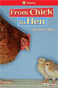 Storytown: Below Level Reader Teacher's Guide Grade 1 Chick to Hen