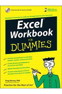 Excel Workbook for Dummies