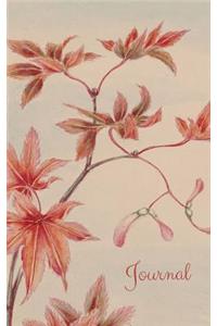 Journal