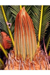 Cycad Gardening Journal: Journal measurements 8.5" x 11" (21.59cm x 27.94cm) 150 Ruled Pages