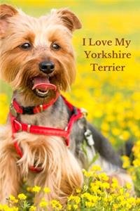 I Love My Yorkshire Terrier