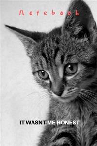 It wasnt me honest notebook