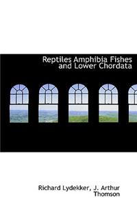 Reptiles Amphibia Fishes and Lower Chordata
