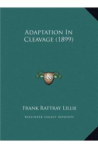 Adaptation In Cleavage (1899)