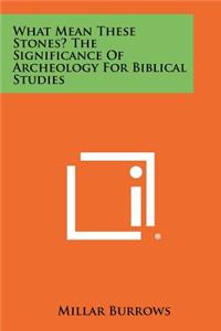 What Mean These Stones? the Significance of Archeology for Biblical Studies