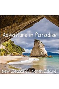 Adventure in Paradise - New Zealand's North Island 2017
