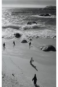 Alive! little penguin friends - Black and White - Photo Art Notebooks (5 x 8 series)
