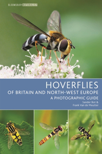 Hoverflies of Britain and North-West Europe