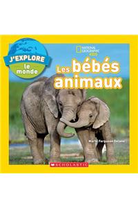 National Geographic Kids: j'Explore Le Monde: Les Bébés Animaux