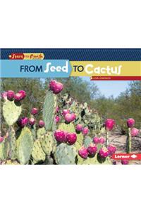 From Seed to Cactus