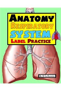 Anatomy Respiratory System Label Practice