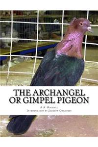 Archangel or Gimpel Pigeon