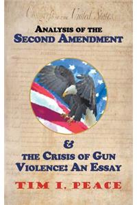 Analysis of the Second Amendment & the Crisis of Gun Violence
