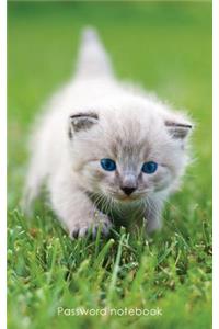 Password Notebook: Internet Address and Password Logbook / Journal / Diary - Blue-Eyed Kitten