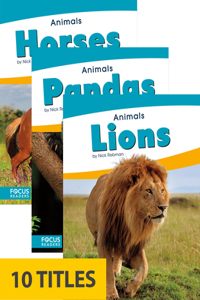 Animals (Set of 10)