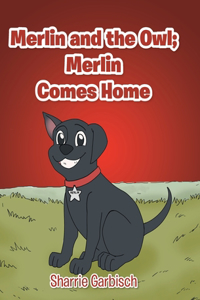 Merlin and the Owl