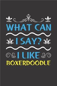 What Can I Say? I Like Boxerdoodle