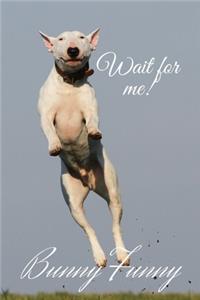 Funny Dog