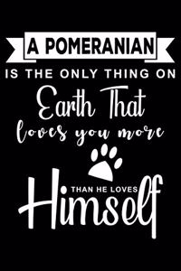 A Pomeranian is the only thing on earth that loves you more