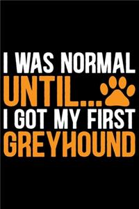 I Was Normal Until I Got My First Greyhound
