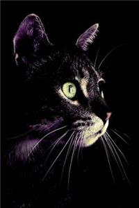 Feline Notebook