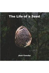 The Life of a Seed