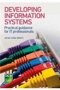 Developing Information Systems