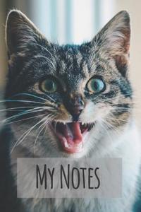 My Notes