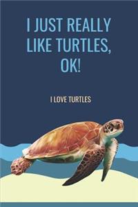 I Just Really Like Turtles, Ok