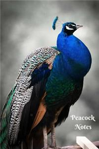 Peacock Notes: 6 X 9 Lined Notebook Journal