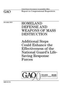 Homeland defense and weapons of mass destruction