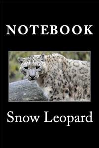 Snow Leopard