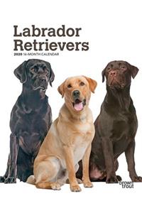Labrador Retrievers 2020 Diary