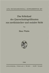 Schicksal Des Querschnittsgelähmten Aus Medizinischer Und Sozialer Sicht