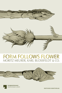 Form Follows Flower