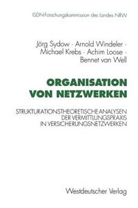 Organisation Von Netzwerken