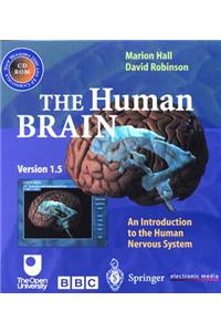 The Human Brain
