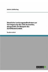 Staatliche Lenkungsmaßnahmen zur Verringerung des CO2-Ausstoßes, dargestellt am Beispiel des Zertifikatehandels