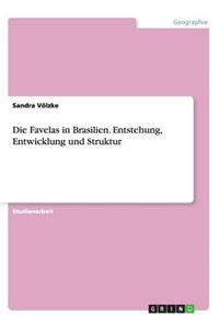 Die Favelas in Brasilien. Entstehung, Entwicklung und Struktur