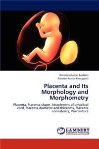 Placenta and Its Morphology and Morphometry
