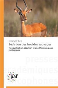 Sédation Des Bovidés Sauvages